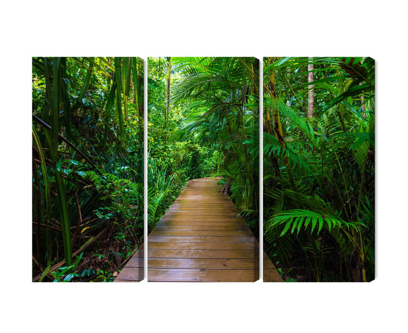 Ljuddämpande tavla - Wooden bridge in a tropical