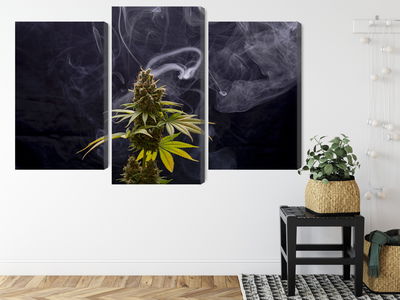 Ljuddämpande tavla - Cannabis plant on a smoky