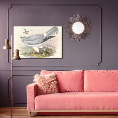 Ljuddämpande tavla - Birds of prey