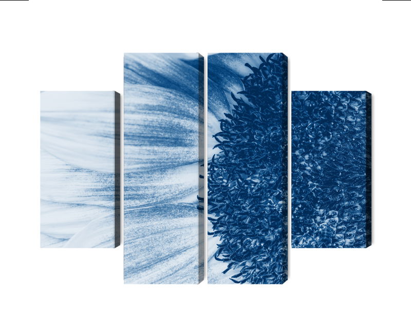 Ljuddämpande tavla - Blue sunflower on a macro