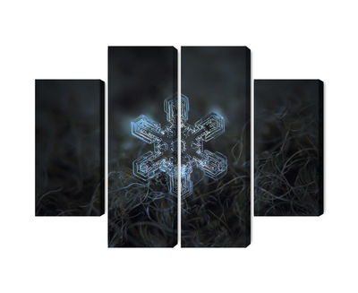 Ljuddämpande tavla - Snow flake in 3d macro scale