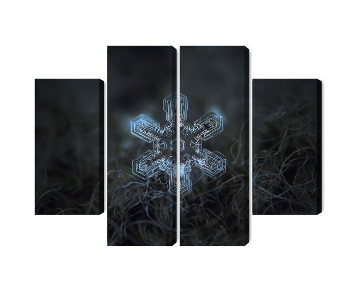 Ljuddämpande tavla - Snow flake in 3d macro scale