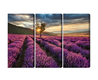 Ljuddämpande tavla - Lavender field at sunset 3d