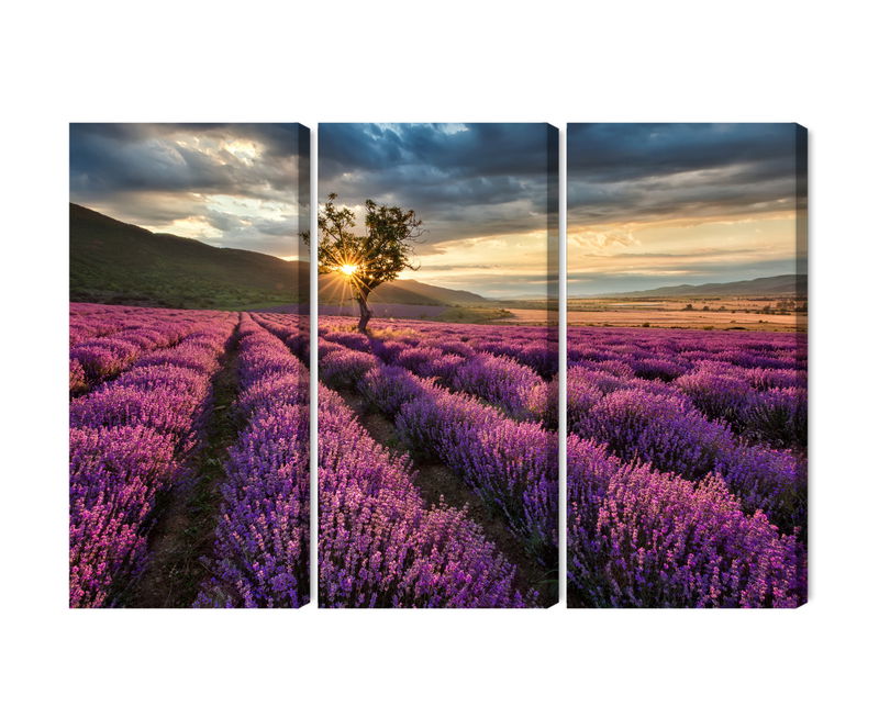 Ljuddämpande tavla - Lavender field at sunset 3d