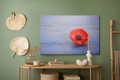 Ljuddämpande tavla - Poppy flower on a blue