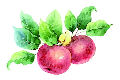 Ljuddämpande tavla - Apples painted