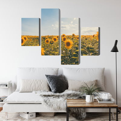 Ljuddämpande tavla - Sunflower field on a summer