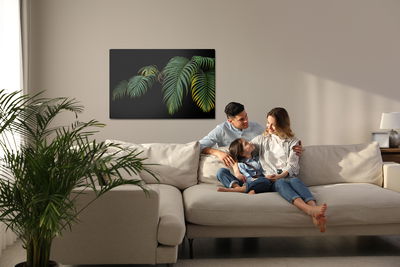 Ljuddämpande tavla - Tropical palm leaves