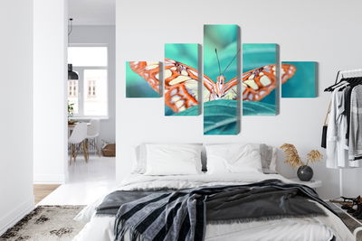 Ljuddämpande tavla - Butterfly on a leaf in macro