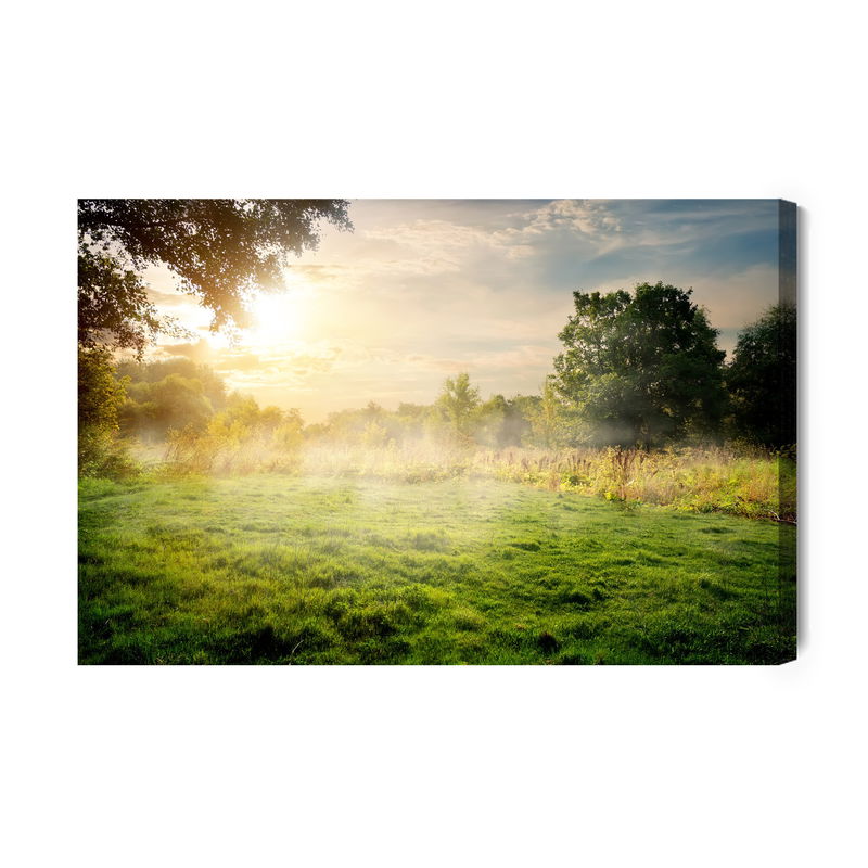 Ljuddämpande tavla - A forest clearing