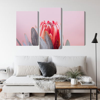 Ljuddämpande tavla - Flower of the royal protea