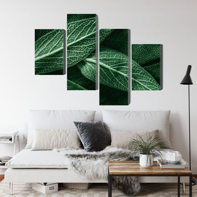 Ljuddämpande tavla - Salvia leaves on a macro