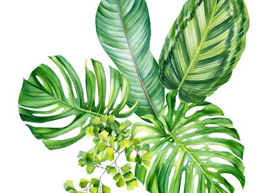 Ljuddämpande tavla - Green exotic leaves painted