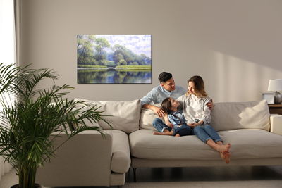 Ljuddämpande tavla - River on the background