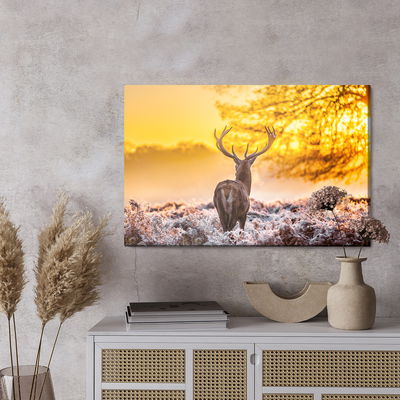 Ljuddämpande tavla - Deer at sunrise