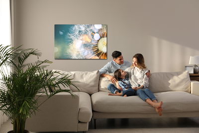 Ljuddämpande tavla - Close-up of a puffer fish