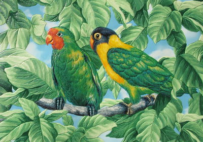 Ljuddämpande tavla - Beautiful colorful parrots