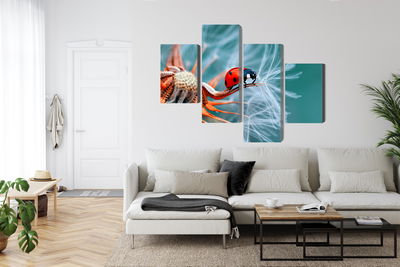 Ljuddämpande tavla - Ladybug on a dandelion