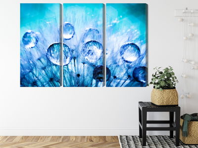 Ljuddämpande tavla - Dew drops on dandelion seeds