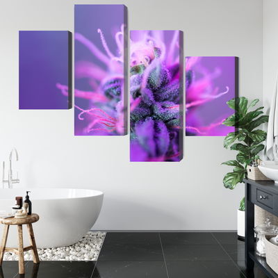 Ljuddämpande tavla - Macro plant on a pink-purple
