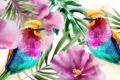 Ljuddämpande tavla - Of tropical birds