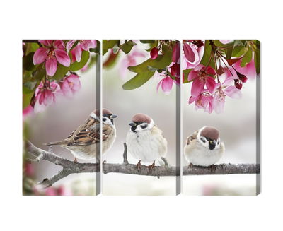 Ljuddämpande tavla - Sparrows among flowers