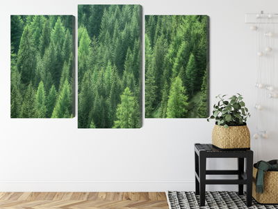 Ljuddämpande tavla - 3d green forest view