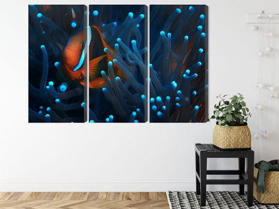 Ljuddämpande tavla - Clownfish in a 3d anemone