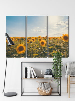 Ljuddämpande tavla - Sunflower field on a summer