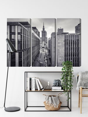 Ljuddämpande tavla - Black and white panorama