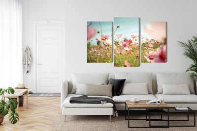 Ljuddämpande tavla - Cosmos flowers in the garden