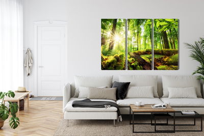 Ljuddämpande tavla - Rays of the sun in the 3d