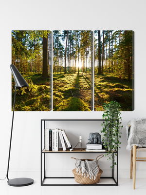 Ljuddämpande tavla - Forest landscape with sunset