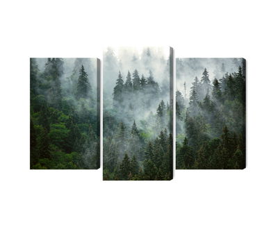 Ljuddämpande tavla - Green forest in the fog