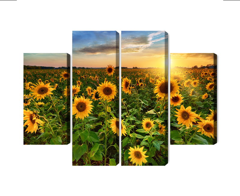 Ljuddämpande tavla - Sunflower field at sunset 3d