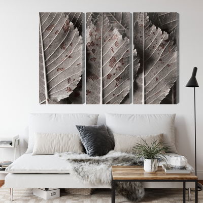 Ljuddämpande tavla - Gray leaves on a macro scale