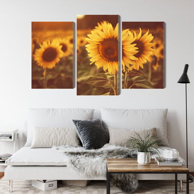 Ljuddämpande tavla - A field of sunflowers