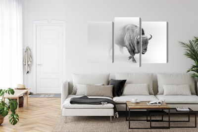 Ljuddämpande tavla - Bison in the fog 3d