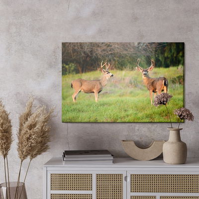 Ljuddämpande tavla - Two young deer