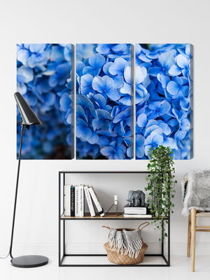 Ljuddämpande tavla - Blue hydrangea flowers close