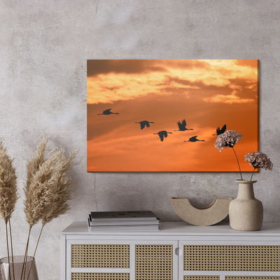 Ljuddämpande tavla - Cranes at dawn