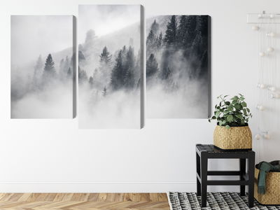 Ljuddämpande tavla - The forest is shrouded in fog