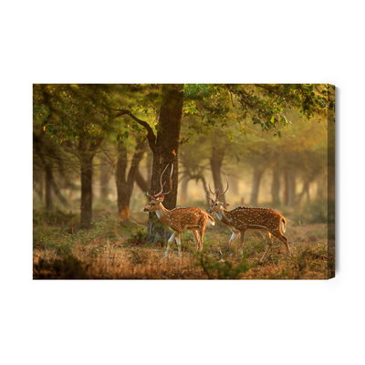 Ljuddämpande tavla - Spotted young deer