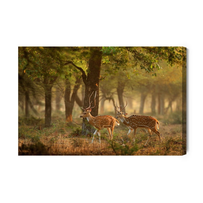 Ljuddämpande tavla - Spotted young deer