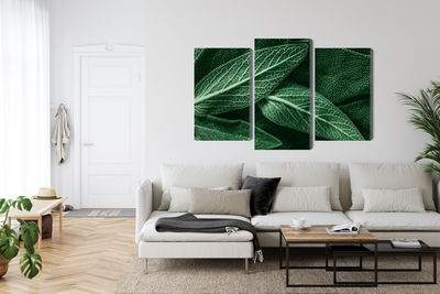 Ljuddämpande tavla - Salvia leaves on a macro