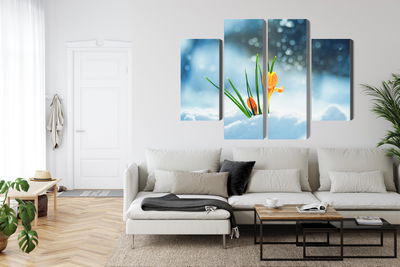 Ljuddämpande tavla - Yellow crocuses breaking