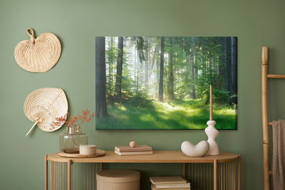 Ljuddämpande tavla - The sun peeks into the forest