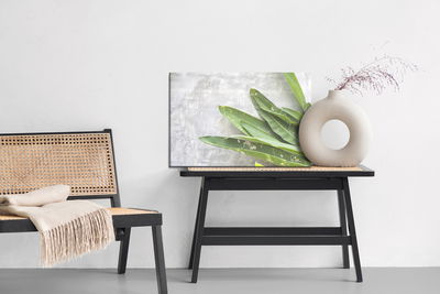 Ljuddämpande tavla - Green leaves on a concrete