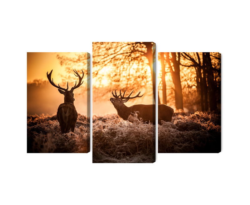 Ljuddämpande tavla - Two deer in the forest