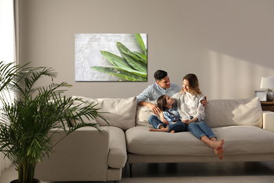 Ljuddämpande tavla - Green leaves on a concrete